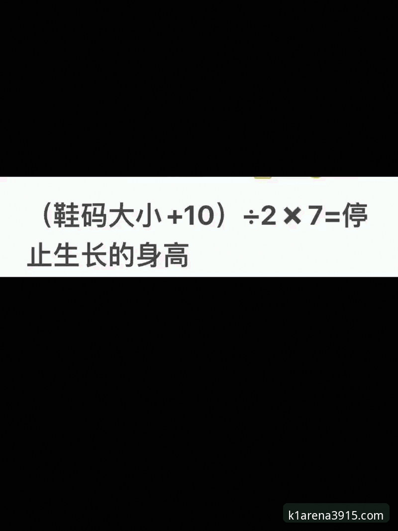 k1体育官方网站对比 K1体育平台全方位实用指南:官网、客户端与登录通道深度对比